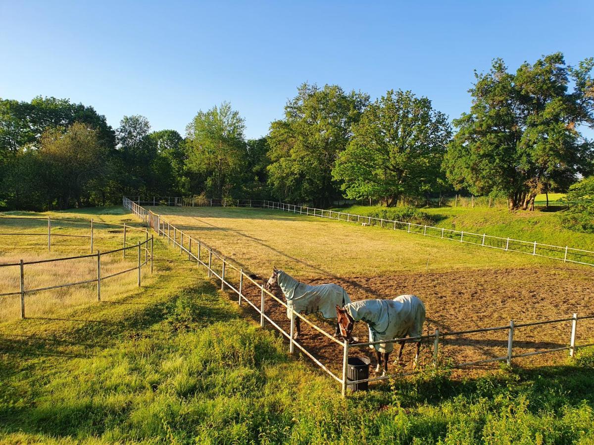 Ferme Equestre & Chambres D'Hotes Gateau Stables Proche Guedelon Saint-Amand-en-Puisaye Eksteriør billede