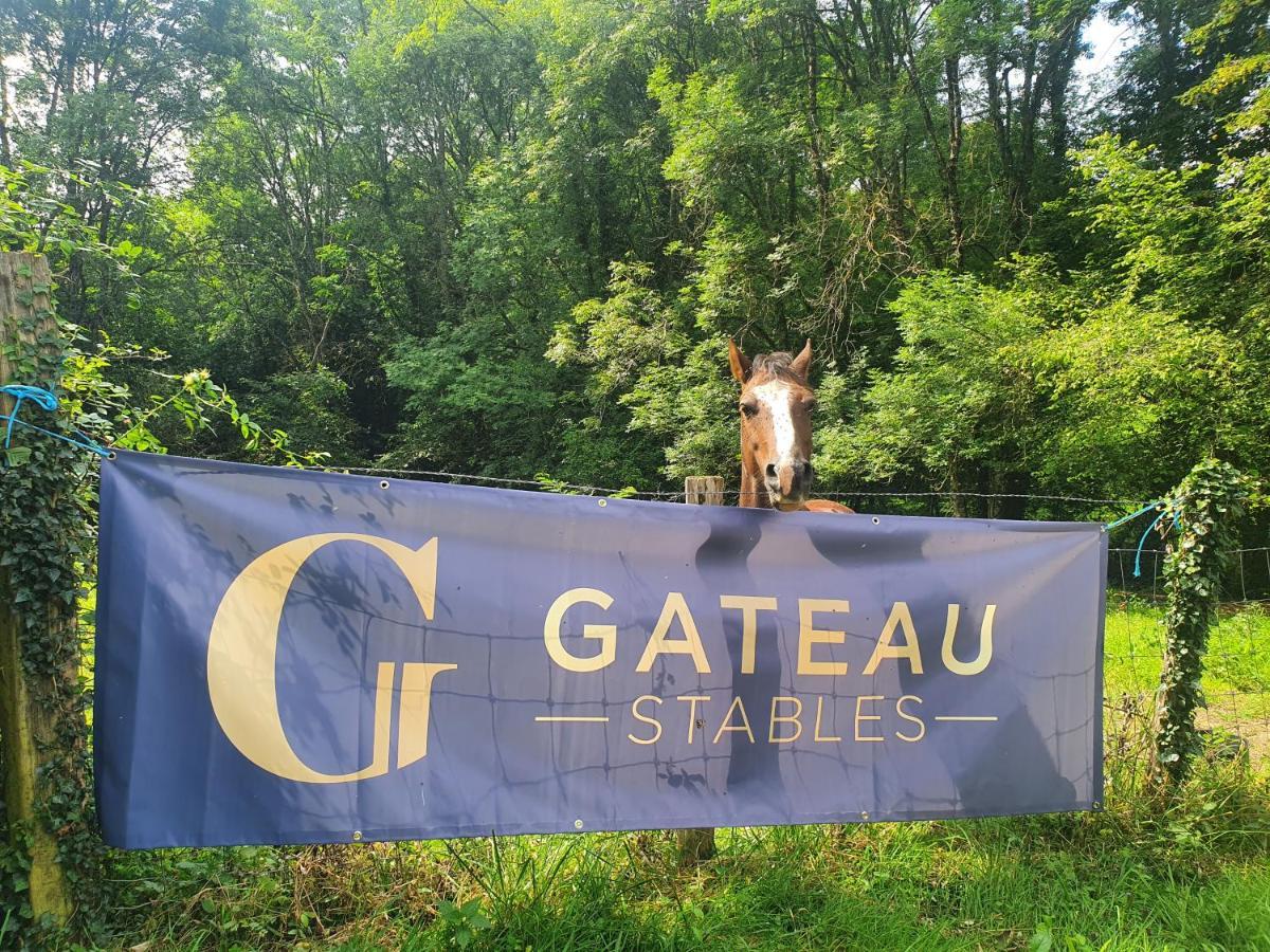 Ferme Equestre & Chambres D'Hotes Gateau Stables Proche Guedelon Saint-Amand-en-Puisaye Eksteriør billede