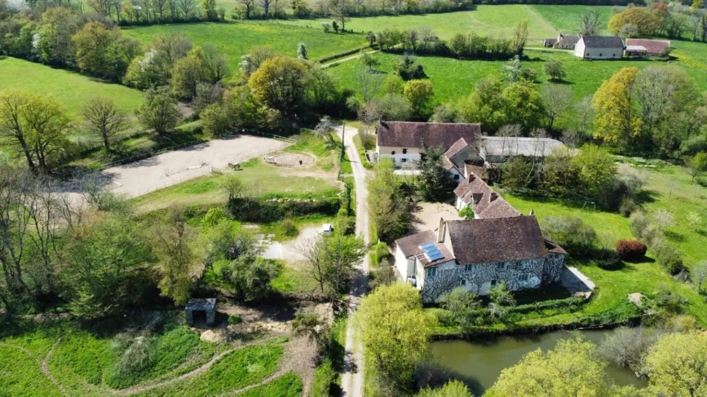 Ferme Equestre & Chambres D'Hotes Gateau Stables Proche Guedelon Saint-Amand-en-Puisaye Eksteriør billede