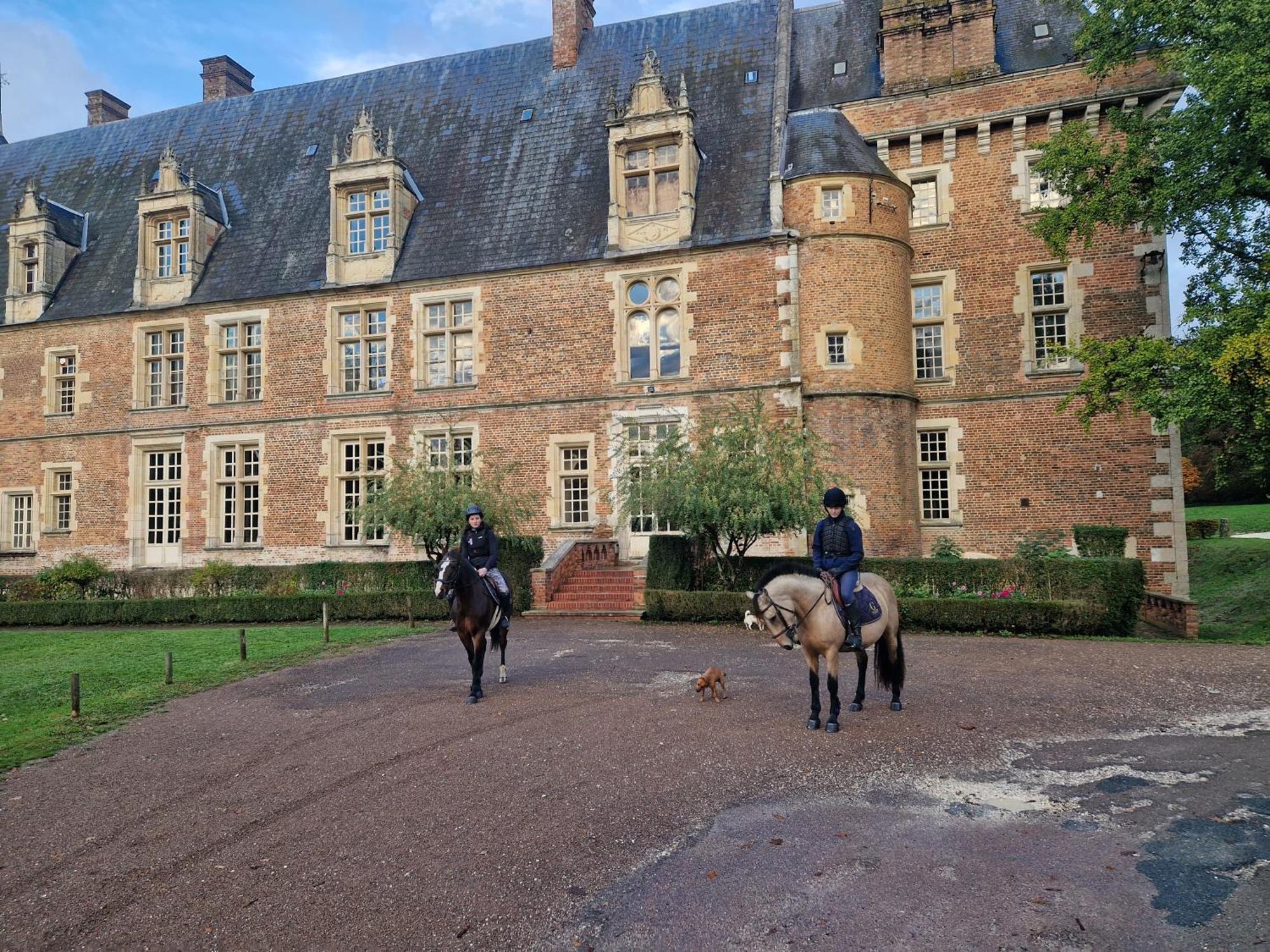 Ferme Equestre & Chambres D'Hotes Gateau Stables Proche Guedelon Saint-Amand-en-Puisaye Eksteriør billede