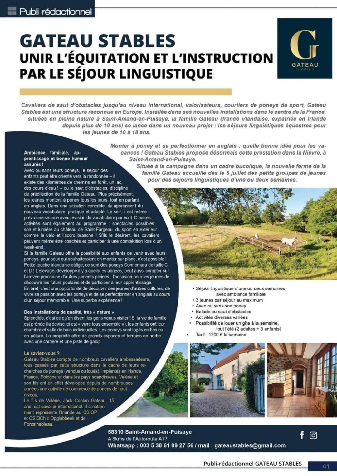 Ferme Equestre & Chambres D'Hotes Gateau Stables Proche Guedelon Saint-Amand-en-Puisaye Eksteriør billede