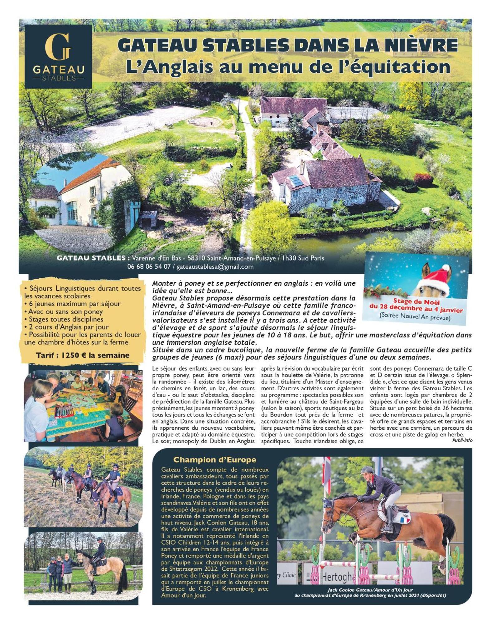 Ferme Equestre & Chambres D'Hotes Gateau Stables Proche Guedelon Saint-Amand-en-Puisaye Eksteriør billede